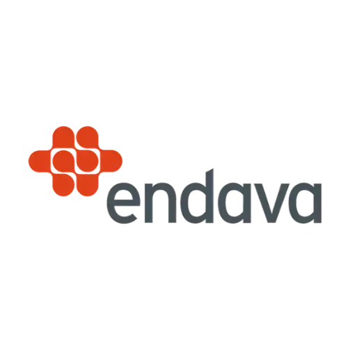 logo endava